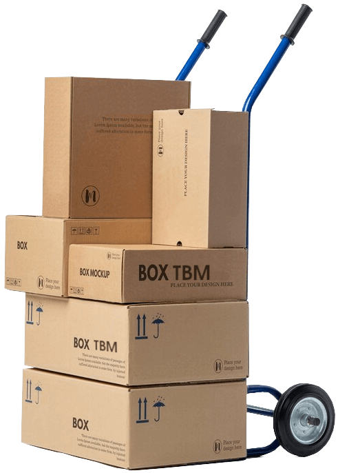 Livraison Shop TBM Madagascar